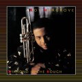 (極HiFiCD) CD　ROY HARGROVE   ロイ・ハーグローヴ  /  DIAMOND IN THE ROUGH   ダイアモンド・イン・ザ・ラフ