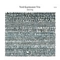 【ECM】国内盤 SHM-CD  Tord  Gustavsen Trio  トルド・グスタフセン・トリオ   /  Seeing   シーイング