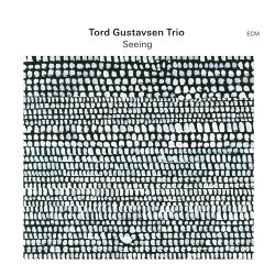 画像1: 【ECM】国内盤 SHM-CD  Tord  Gustavsen Trio  トルド・グスタフセン・トリオ   /  Seeing   シーイング