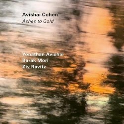 Avishai Cohen / Ashes To Gold