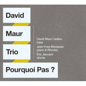 画像: 弦から放たれたベースの迷いのない力強さ! CD DAVID MAUR TRIO ダヴィッド・モウ・トリオ / POURQUOI PAS ?