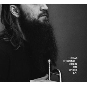 画像: 【STUNT】LP TOBIAS WIKLUND トビアス・ウィクランド / WHERE THE SPIRITS EAT