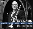 Steve Davis / Bluesthetic