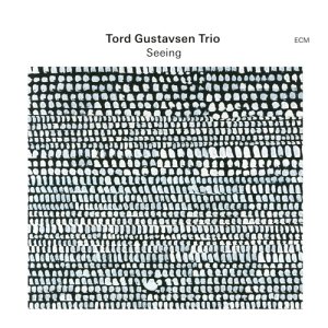 画像: 【ECM】国内盤 SHM-CD  Tord  Gustavsen Trio  トルド・グスタフセン・トリオ   /  Seeing   シーイング