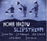 画像: CD NOAH HAIDU / SLIPSTREAM