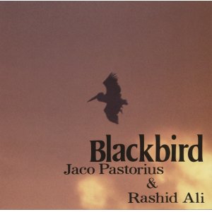 画像: CD JACO PASTORIUS & RASHID ALI ジャコ・パストリアス〜ラシッド・アリ /  BLACKBIRD   ブラックバーズ