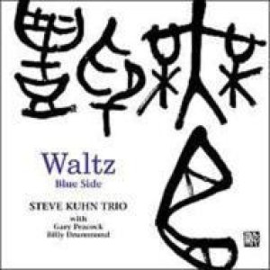 CD STEVE KUHN TRIO スティーヴ・キューン / THREE WAVES スリー