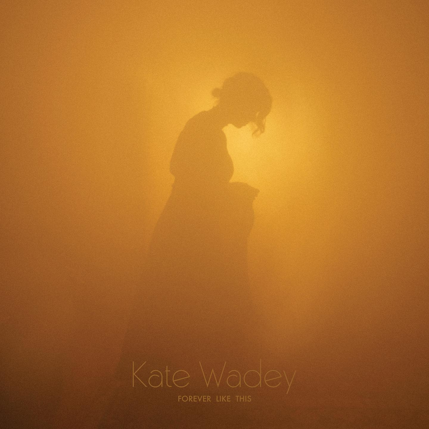 清楚可憐にして奥深い雅趣も仄めく自然体の優しいメロウ・ロマンティック歌唱がキュートu0026チャーミングな本領を発揮した抒情派ヴォーカルの逸品　CD　KATE  WADEY ケイト・ウェイディー / FOREVER LIKE THIS