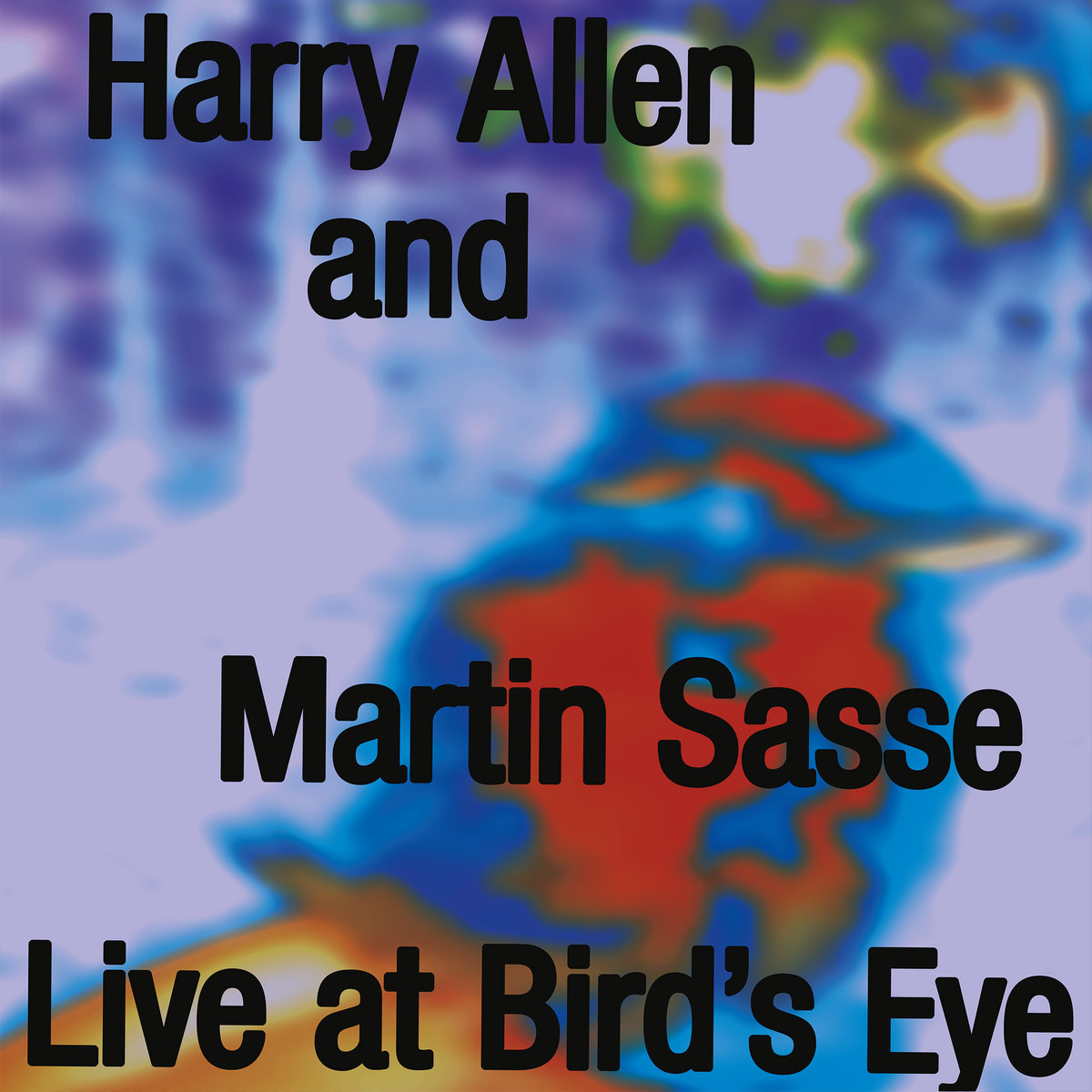 Harry Allen and Martin Sasse / Live at Bird's Eye