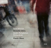 画像1: 輸入盤LP    Gard Nilssen Acoustic Unity  ガール・ニルセン・アコスティック・ユニティ /  Elastic Wave