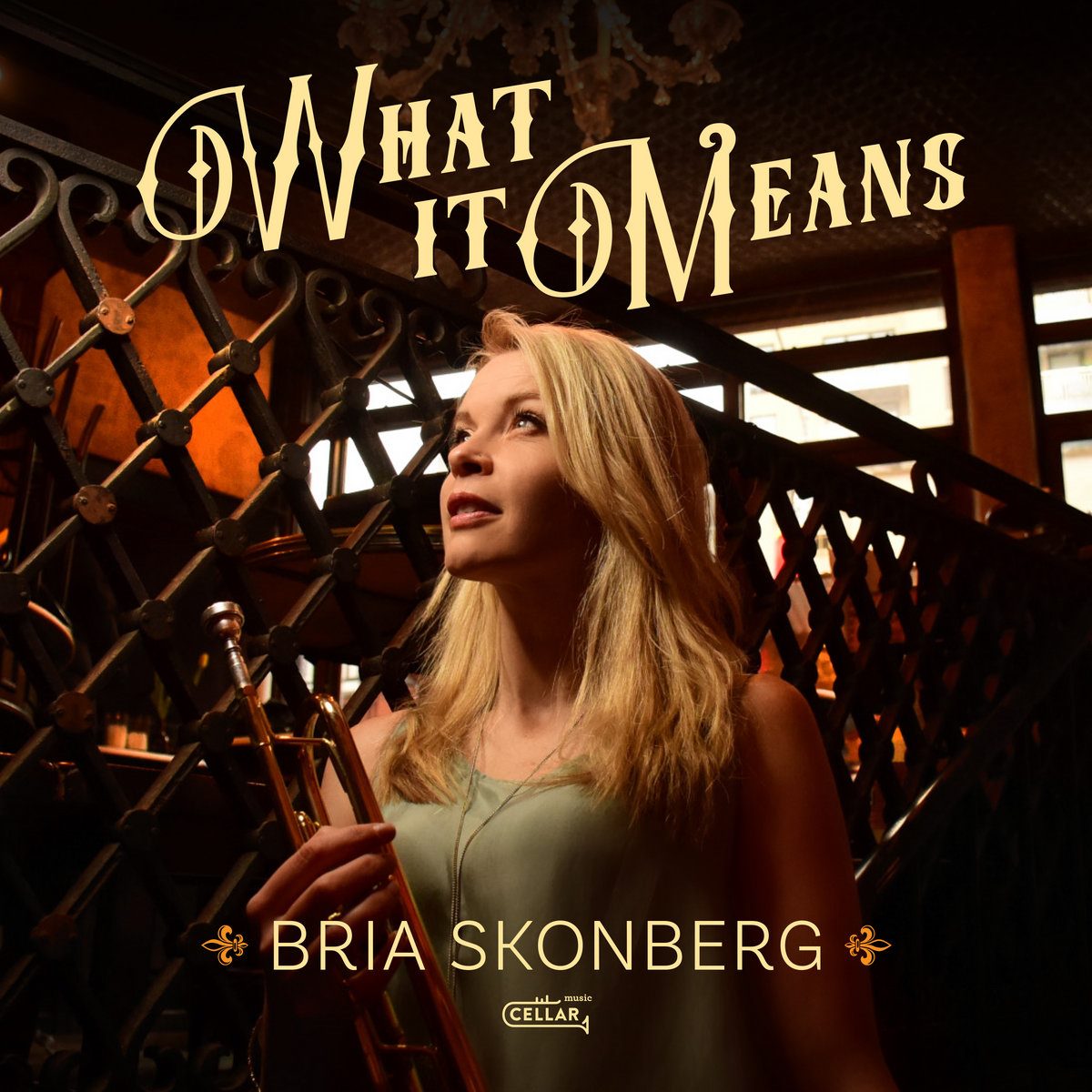 Bria Skonberg / What It Means