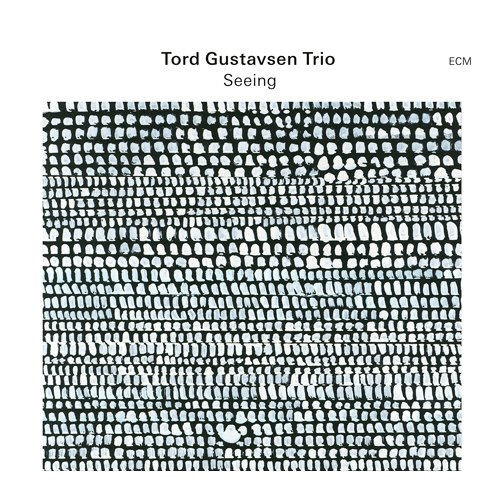 画像1: 【ECM】国内盤 SHM-CD  Tord  Gustavsen Trio  トルド・グスタフセン・トリオ   /  Seeing   シーイング