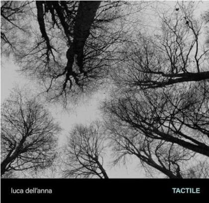 画像1: 【ARTESUONO】CD LUCA DELL'ANNA ルカ・デルアンナ / Tactile